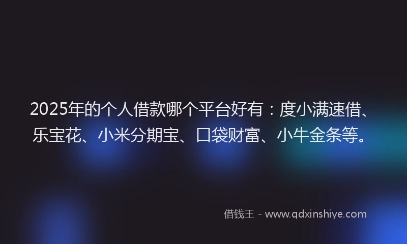 2025年的个人借款哪个平台好有：度小满速借、乐宝花、小米分期宝、口袋财富、小牛金条等。