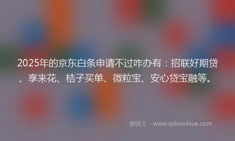 2025年的京东白条申请不过咋办有：招联好期贷、享来花、桔子买单、微粒宝、安心贷宝融等。