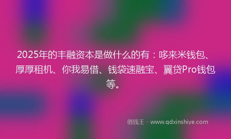 2025年的丰融资本是做什么的有：哆来米钱包、厚厚租机、你我易借、钱袋速融宝、翼贷Pro钱包等。