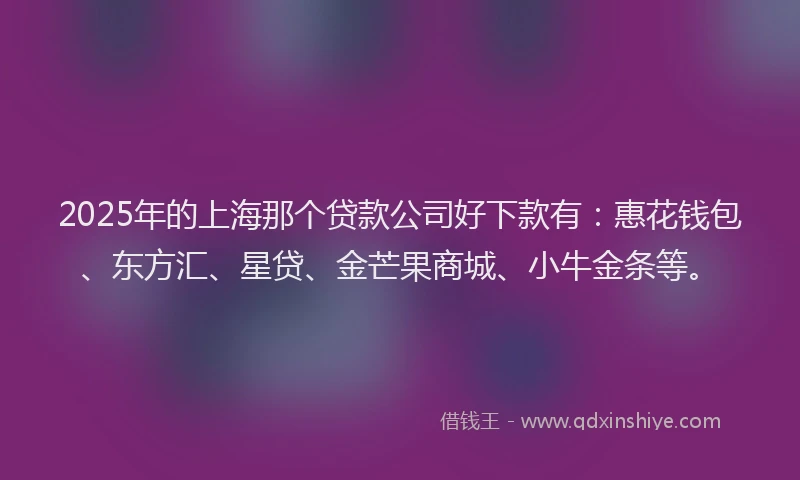 2025年的上海那个贷款公司好下款有：惠花钱包、东方汇、星贷、金芒果商城、小牛金条等。