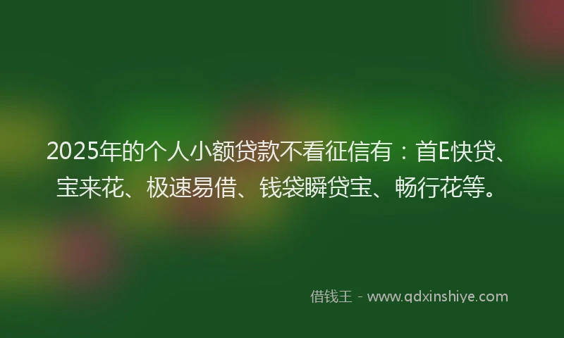 2025年的个人小额贷款不看征信有：首E快贷、宝来花、极速易借、钱袋瞬贷宝、畅行花等。