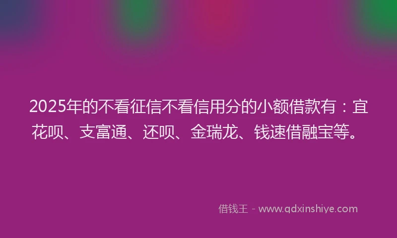 2025年的不看征信不看信用分的小额借款有：宜花呗、支富通、还呗、金瑞龙、钱速借融宝等。