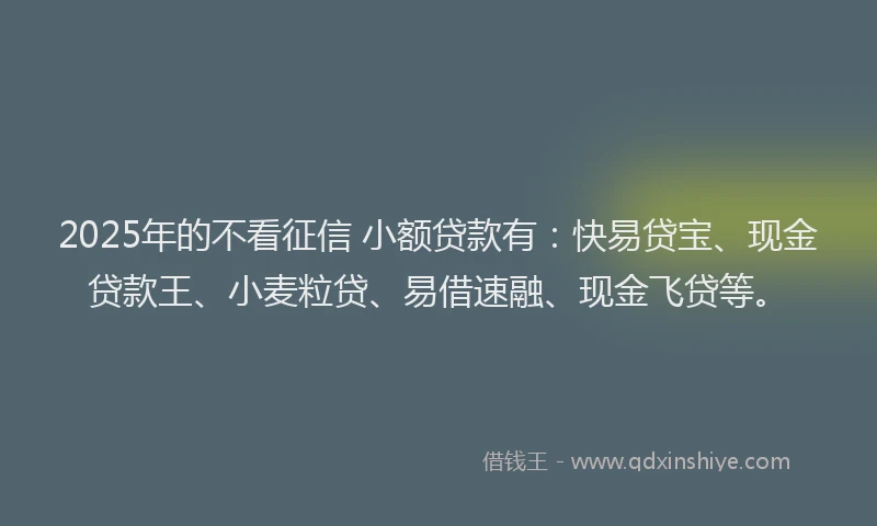 2025年的不看征信 小额贷款有：快易贷宝、现金贷款王、小麦粒贷、易借速融、现金飞贷等。