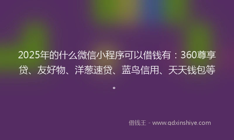 2025年的什么微信小程序可以借钱有：360尊享贷、友好物、洋葱速贷、蓝鸟信用、天天钱包等。