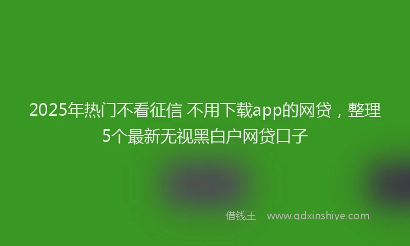2025年热门不看征信 不用下载app的网贷，整理5个最新无视黑白户网贷口子