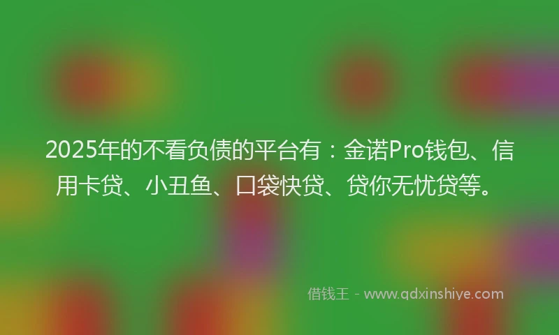 2025年的不看负债的平台有：金诺Pro钱包、信用卡贷、小丑鱼、口袋快贷、贷你无忧贷等。