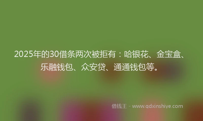 2025年的30借条两次被拒有：哈银花、金宝盒、乐融钱包、众安贷、通通钱包等。