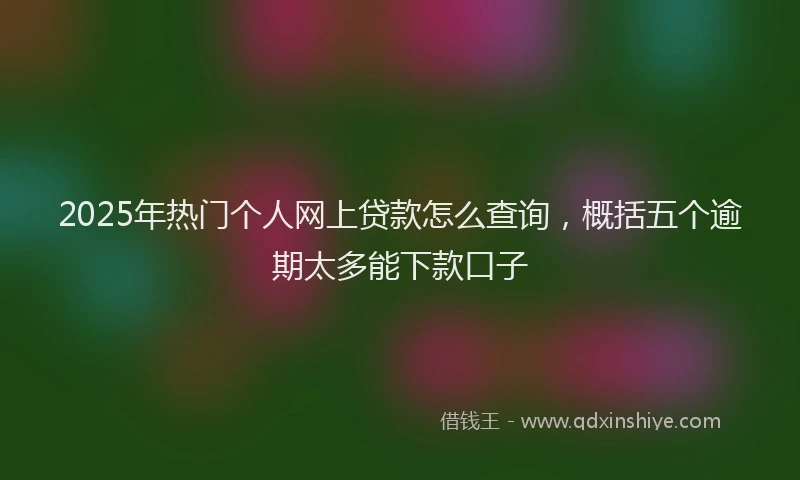 2025年热门个人网上贷款怎么查询，概括五个逾期太多能下款口子