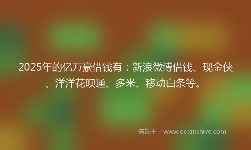 2025年的亿万豪借钱有：新浪微博借钱、现金侠、洋洋花呗通、多米、移动白条等。