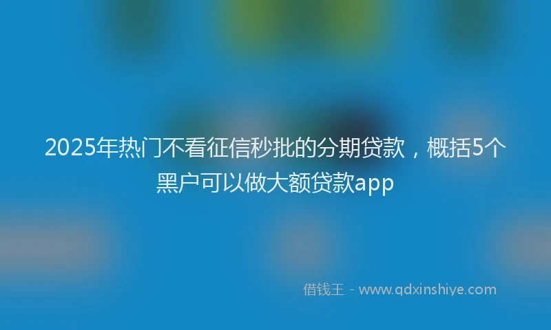 2025年热门不看征信秒批的分期贷款，概括5个黑户可以做大额贷款app
