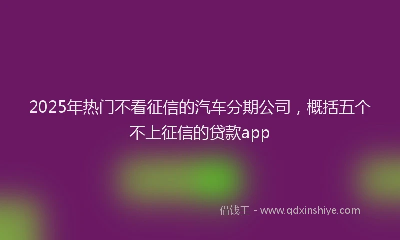 2025年热门不看征信的汽车分期公司，概括五个不上征信的贷款app