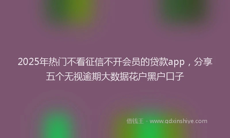 2025年热门不看征信不开会员的贷款app，分享五个无视逾期大数据花户黑户口子