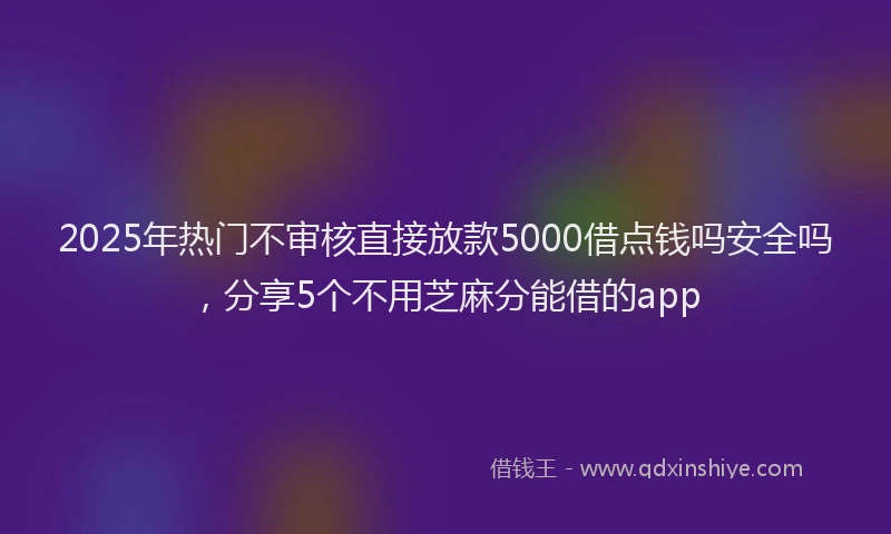 2025年热门不审核直接放款5000借点钱吗安全吗，分享5个不用芝麻分能借的app
