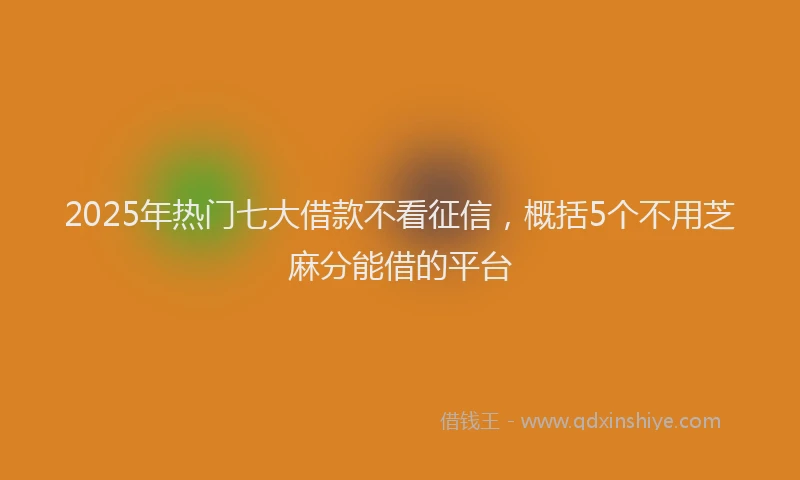 2025年热门七大借款不看征信，概括5个不用芝麻分能借的平台