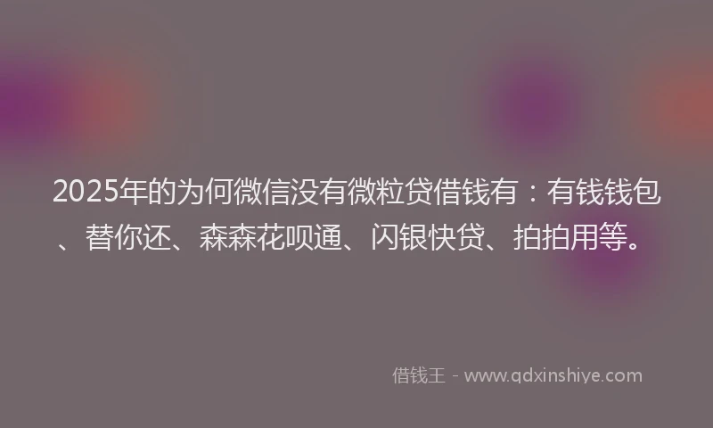 2025年的为何微信没有微粒贷借钱有：有钱钱包、替你还、森森花呗通、闪银快贷、拍拍用等。