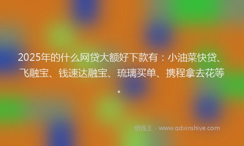 2025年的什么网贷大额好下款有：小油菜快贷、飞融宝、钱速达融宝、琉璃买单、携程拿去花等。