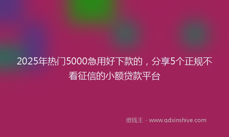 2025年热门5000急用好下款的，分享5个正规不看征信的小额贷款平台