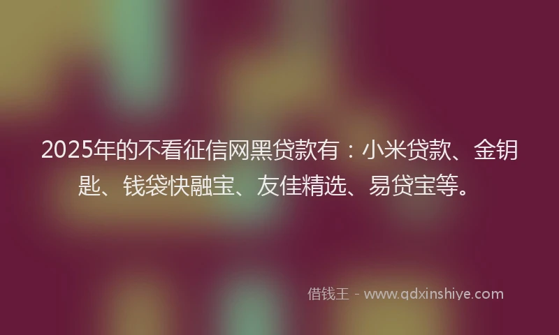 2025年的不看征信网黑贷款有：小米贷款、金钥匙、钱袋快融宝、友佳精选、易贷宝等。