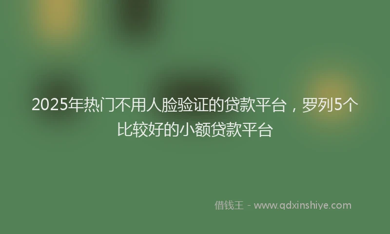 2025年热门不用人脸验证的贷款平台，罗列5个比较好的小额贷款平台