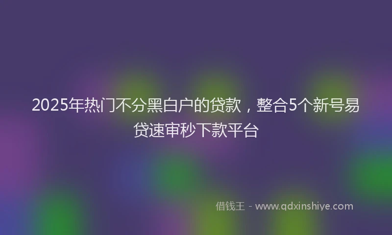 2025年热门不分黑白户的贷款，整合5个新号易贷速审秒下款平台
