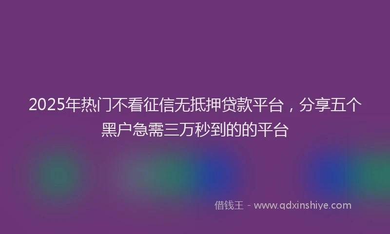 2025年热门不看征信无抵押贷款平台，分享五个黑户急需三万秒到的的平台