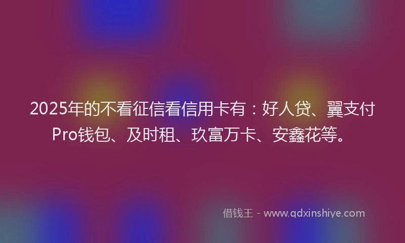 2025年的不看征信看信用卡有：好人贷、翼支付Pro钱包、及时租、玖富万卡、安鑫花等。
