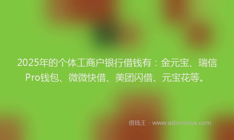 2025年的个体工商户银行借钱有：金元宝、瑞信Pro钱包、微微快借、美团闪借、元宝花等。