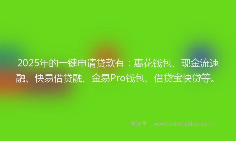 2025年的一键申请贷款有：惠花钱包、现金流速融、快易借贷融、金易Pro钱包、借贷宝快贷等。