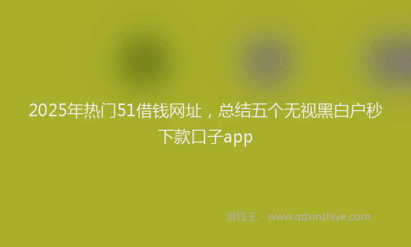 2025年热门51借钱网址，总结五个无视黑白户秒下款口子app