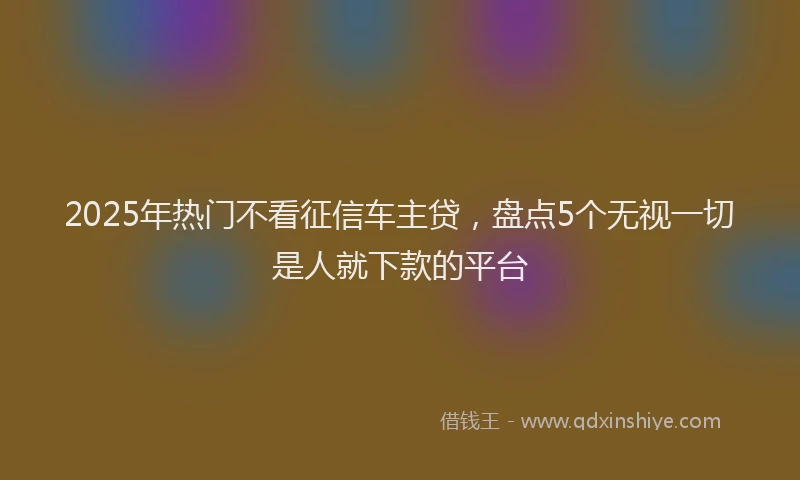 2025年热门不看征信车主贷，盘点5个无视一切是人就下款的平台