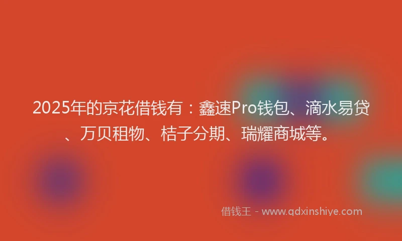 2025年的京花借钱有：鑫速Pro钱包、滴水易贷、万贝租物、桔子分期、瑞耀商城等。