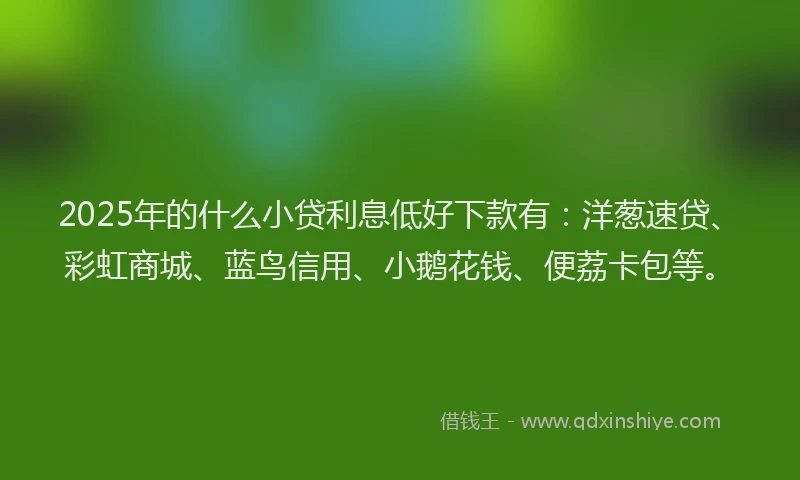 2025年的什么小贷利息低好下款有：洋葱速贷、彩虹商城、蓝鸟信用、小鹅花钱、便荔卡包等。