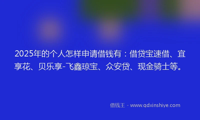 2025年的个人怎样申请借钱有：借贷宝速借、宜享花、贝乐享-飞鑫琼宝、众安贷、现金骑士等。