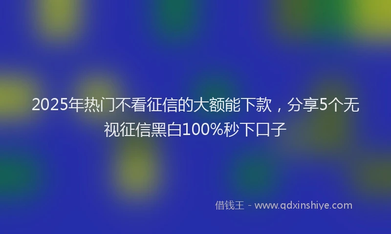2025年热门不看征信的大额能下款，分享5个无视征信黑白100%秒下口子
