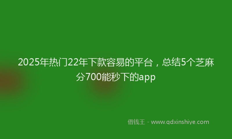 2025年热门22年下款容易的平台，总结5个芝麻分700能秒下的app