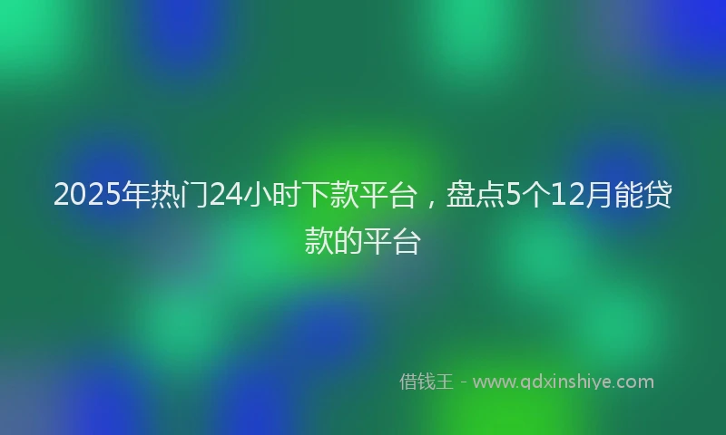 2025年热门24小时下款平台，盘点5个12月能贷款的平台