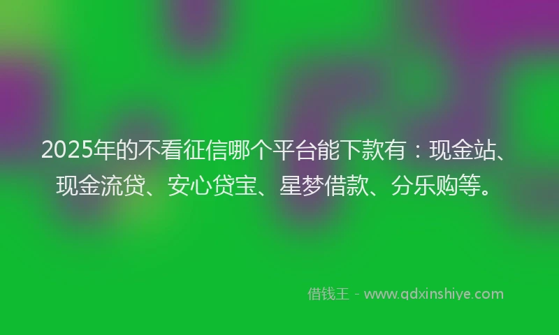 2025年的不看征信哪个平台能下款有：现金站、现金流贷、安心贷宝、星梦借款、分乐购等。