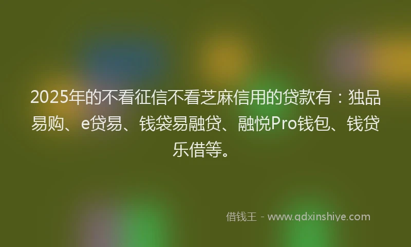 2025年的不看征信不看芝麻信用的贷款有：独品易购、e贷易、钱袋易融贷、融悦Pro钱包、钱贷乐借等。