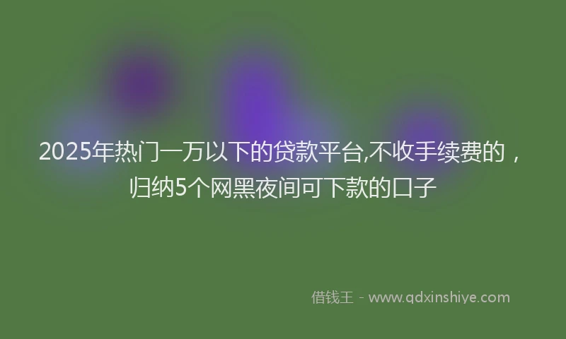 2025年热门一万以下的贷款平台,不收手续费的，归纳5个网黑夜间可下款的口子