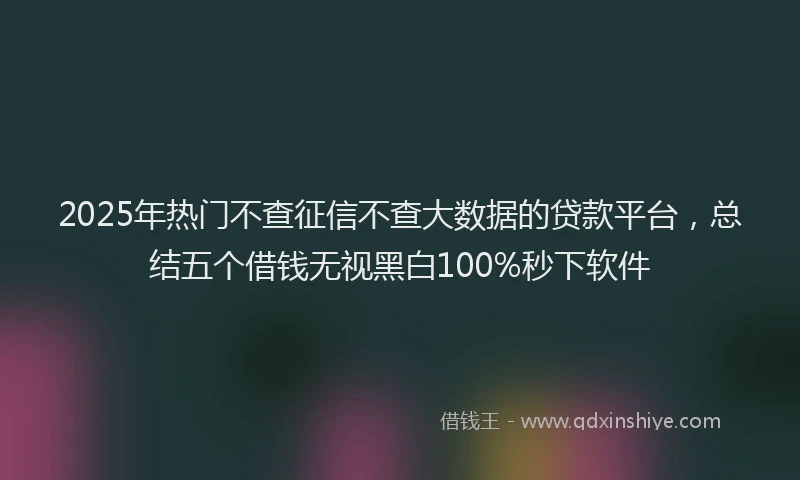 2025年热门不查征信不查大数据的贷款平台，总结五个借钱无视黑白100%秒下软件
