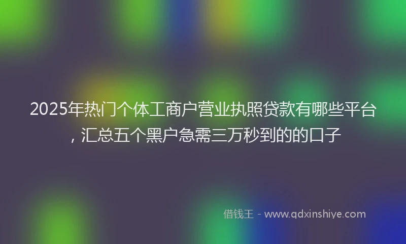 2025年热门个体工商户营业执照贷款有哪些平台，汇总五个黑户急需三万秒到的的口子