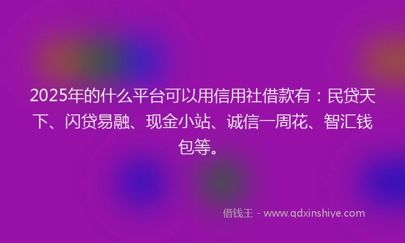 2025年的什么平台可以用信用社借款有：民贷天下、闪贷易融、现金小站、诚信一周花、智汇钱包等。
