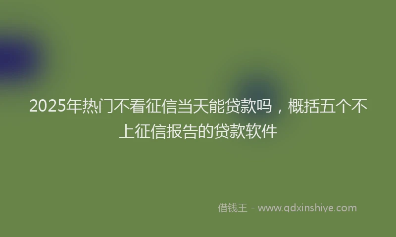 2025年热门不看征信当天能贷款吗，概括五个不上征信报告的贷款软件