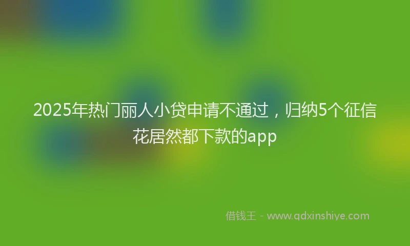 2025年热门丽人小贷申请不通过，归纳5个征信花居然都下款的app