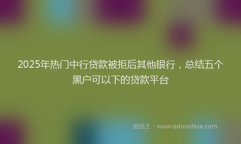 2025年热门中行贷款被拒后其他银行，总结五个黑户可以下的贷款平台