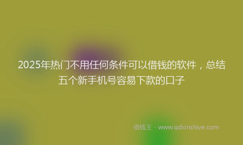 2025年热门不用任何条件可以借钱的软件，总结五个新手机号容易下款的口子