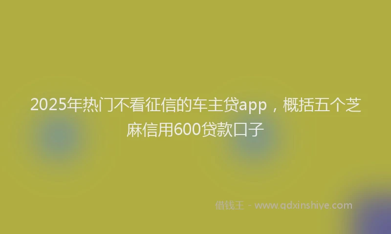 2025年热门不看征信的车主贷app，概括五个芝麻信用600贷款口子