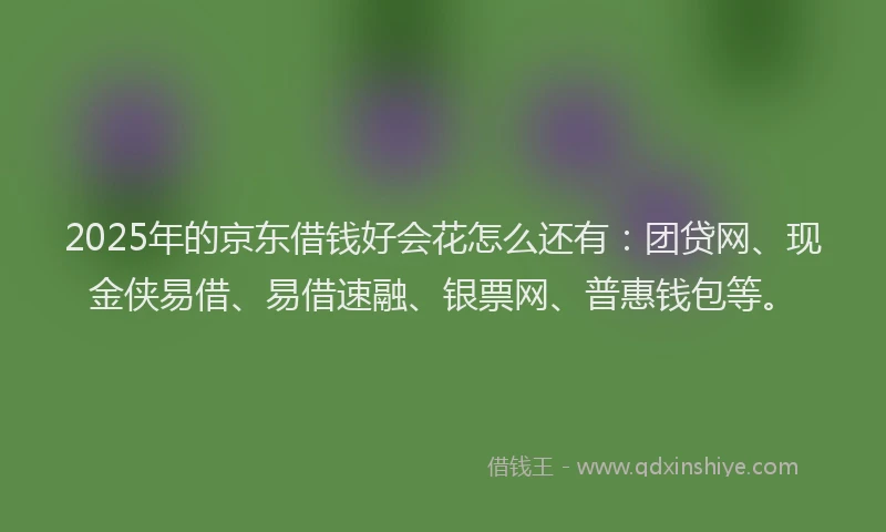 2025年的京东借钱好会花怎么还有：团贷网、现金侠易借、易借速融、银票网、普惠钱包等。