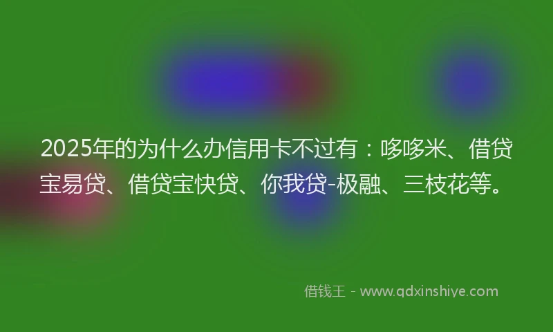 2025年的为什么办信用卡不过有：哆哆米、借贷宝易贷、借贷宝快贷、你我贷-极融、三枝花等。