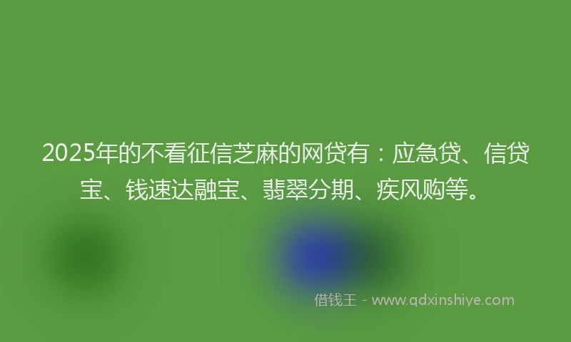 2025年的不看征信芝麻的网贷有：应急贷、信贷宝、钱速达融宝、翡翠分期、疾风购等。